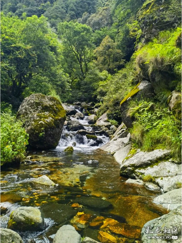 夏日避暑旅行｜徒步苍山莫残溪，往返16公里累并快乐着！