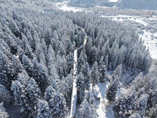 重庆武隆：隆康医养中心暖心服务，为冬日仙女山增添别样温情