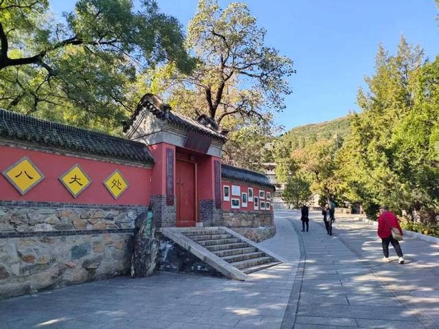 趁秋日暖阳，来八大处感受与自然共处的温柔→