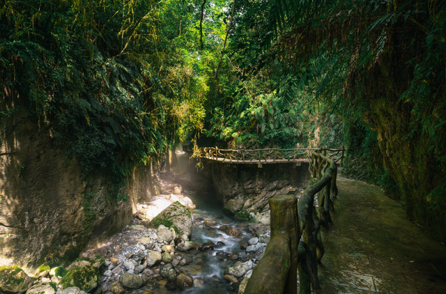 错过等一年！巴山大峡谷秋色刚开场，彩林已美成仙境！