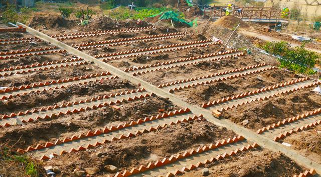 采摘、烧烤、树屋、太空舱……黄石这个遛娃地“五一”开放