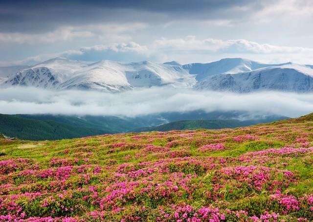 70岁之前，一定要去这10个仙境，我有幸去过5个，去了就不想回！