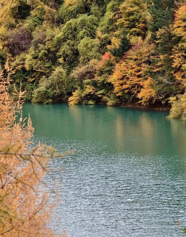 【美丽四川】平武天母湖，邂逅一场彩林与碧水的秋日盛宴‖柳红樱