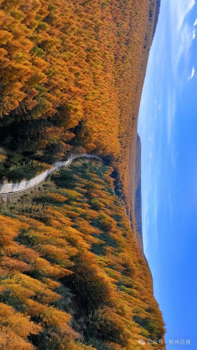 管涔山：华北大地上的山水传奇