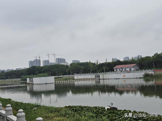 梅湖公园魅力，幽静的湖水，蜿蜒的小路，悠闲的人群，静静的河面
