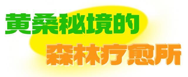 挖到宝了！邵阳新晋五星宝藏民宿避暑超治愈！