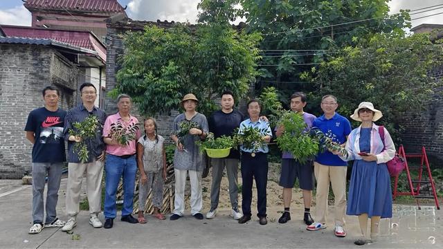 江门故事馆:容老爷 江门侨文化的“守灯人”