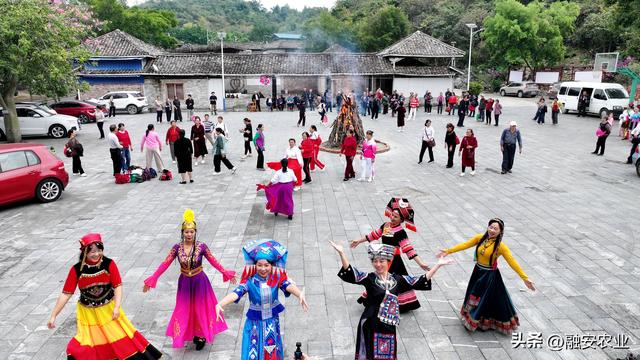 广西融安：秋高气爽引客来