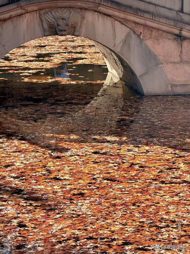 《诗经•小雅6•天保》——《诗经》札记165