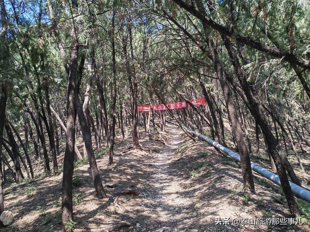 泰安为什么是“鬼都”？泰山起了很大作用，“三重空间”就差它了