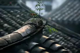 要么说大自然是最伟大的艺术家，看过这些植物，我算是懂了图片