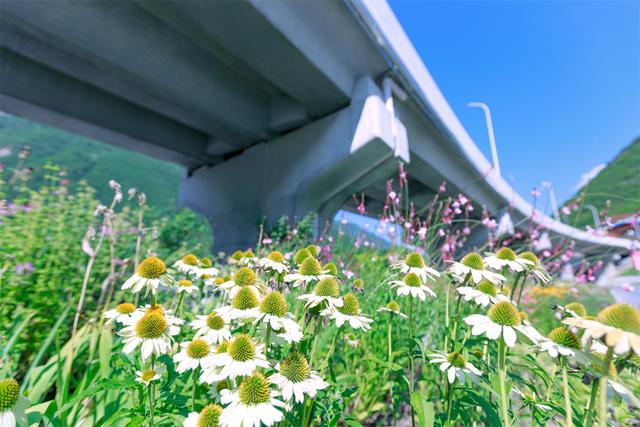 九绵高速通车在即 大九寨旅游环线贯通