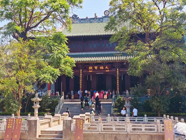 从千年禅钟到荞麦“雪”海，跟着韶关这条治愈秋季美景线路游，超出片！