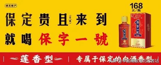保字一號莲香型:源自白洋淀,万顷荷风送酒香