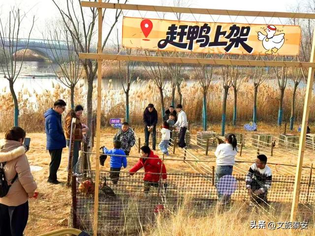 开年遛娃首选！东平湖流浪水世界暖冬亲子奇遇季，全家欢乐新去处！