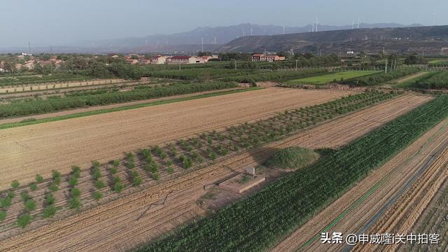 芮城县：过风陵渡，寻访风后陵
