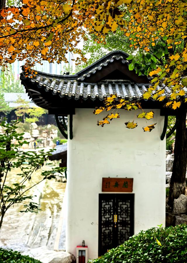 半烟火半诗意：潍坊园林的美，从不被定义