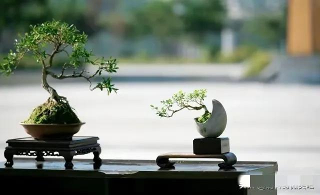 其实上，退休看人品，真正有德的人，在退休时，这几点做得很好
