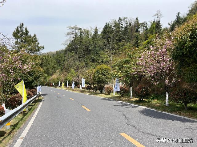 到南昌，梅岭是该去一趟