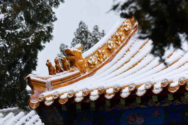 实拍！雪后淄博，秒变水墨仙境！