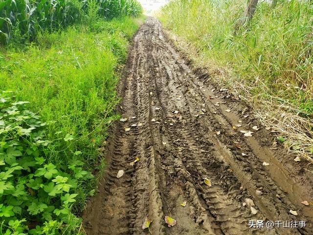 二十多年骑行老炮儿掏心窝实话：20个扎心真相！你中了几条？