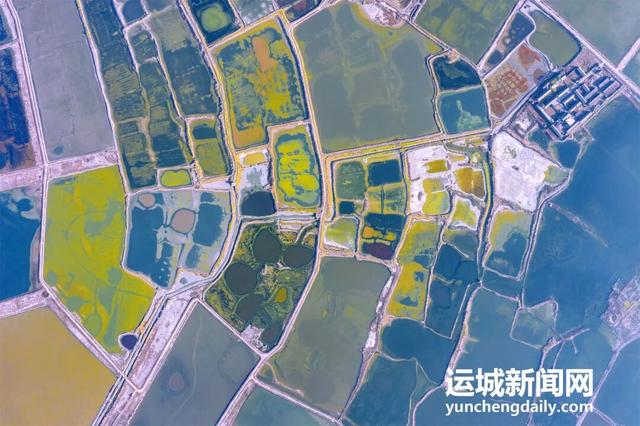 “淡季不淡”，运城文旅持续火热