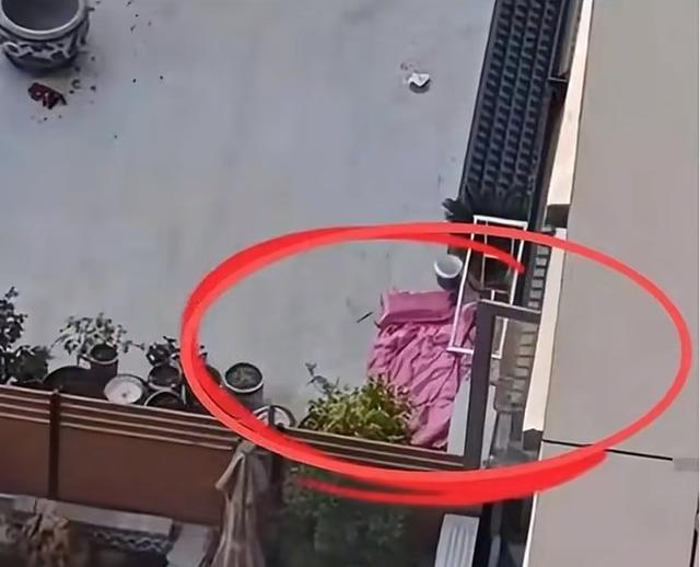 河南28岁新娘跳楼后续：遗体已安葬，男方未要求退还彩礼 暂时和平