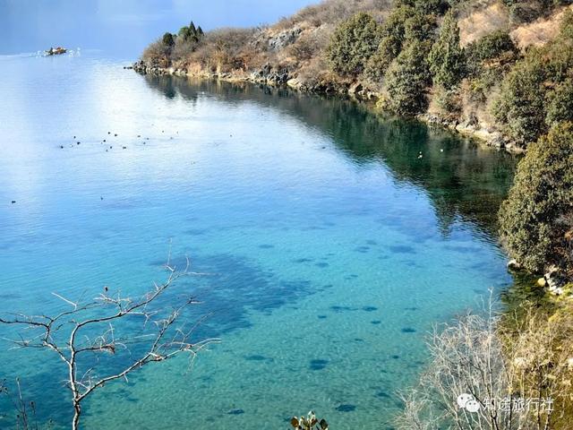 一年中最后一场华丽的秋色，鹤庆泸沽湖休闲5天游！11月底出发