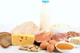 10大富含优质蛋白食物，有助于提高免疫力，补充蛋白质图片