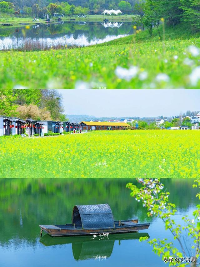 带宠撒欢隐世山居！武汉周边游｜3天2晚就在这里发呆