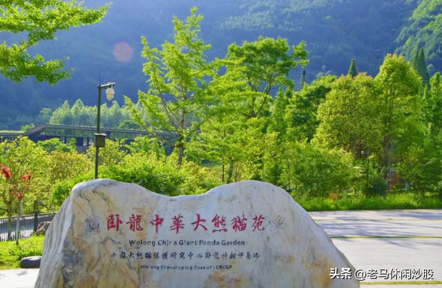 我带着相机，在耿达避暑