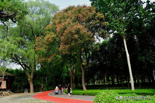 立秋之约：达活泉公园的诗意画卷（图）