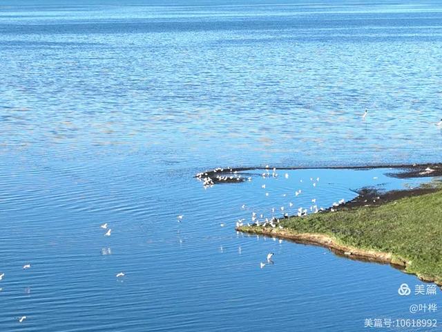 寄情青海湖 图文/叶桦