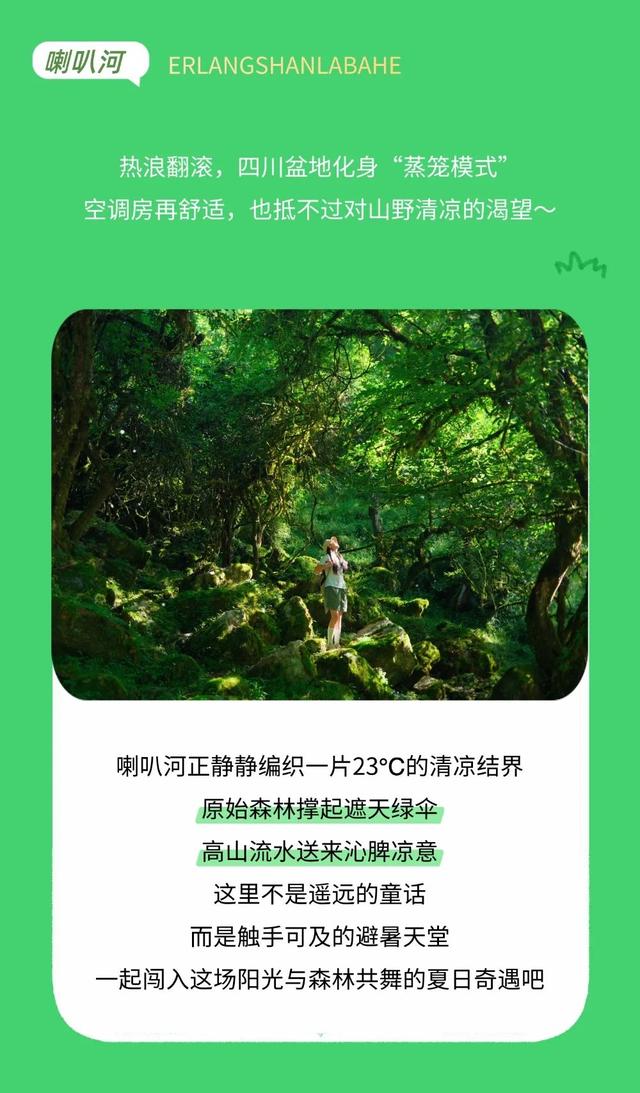 成都周边3h可达宝藏避暑地！来喇叭河一键降温！山风制冷超带感！