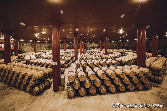 夏日特辑|体验葡萄架下的甜蜜慢生活,秦皇岛葡园采摘与红酒品鉴两日游线路!
