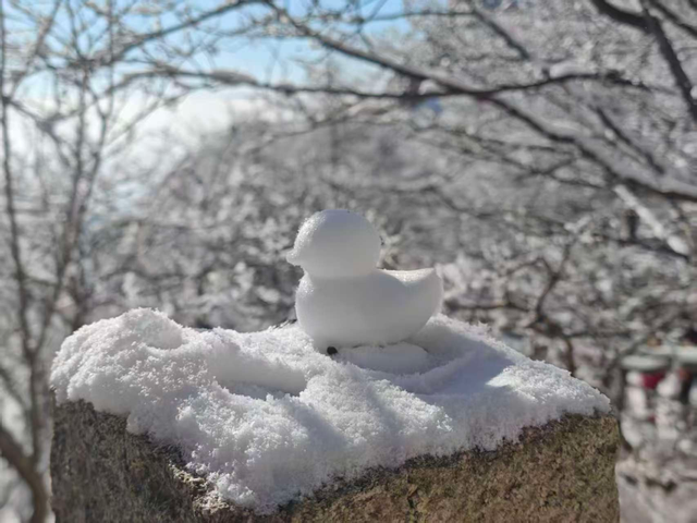 下雪啦！崂山“仙境体验卡”，限时开启