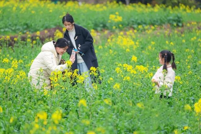 赴一场春日之约！浙江这些赏花地等你来