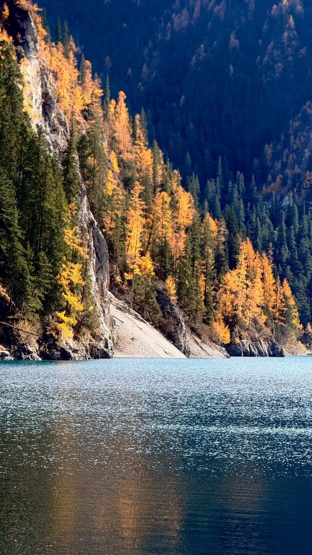 【今日九寨沟】秋季彩林最后的盛宴，明年再见！