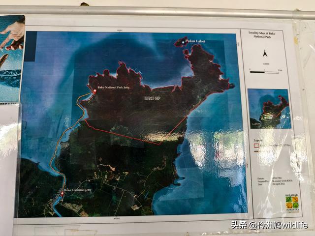 马来西亚(35)砂拉越州⑨峇哥国家公园徒步线路