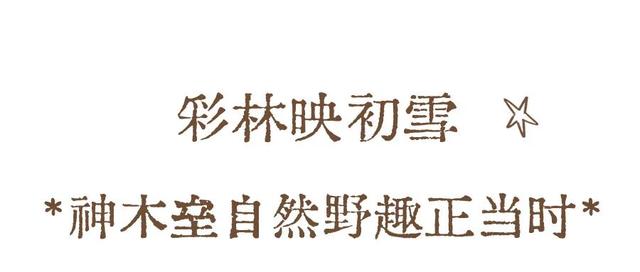 神木垒&达瓦更扎进入美貌开挂模式，请做好相关旅游准备！