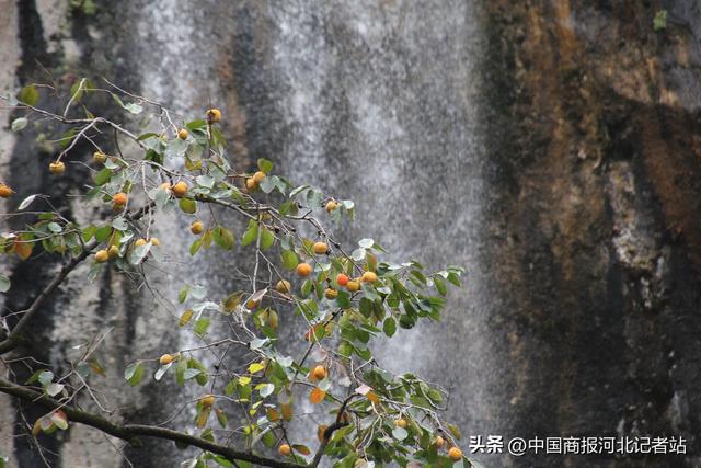 沕沕水金秋文化旅游季将启 多彩活动扮靓太行山水