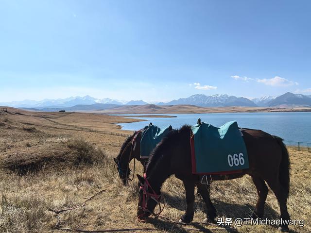 古意秋风三万里（D14）-从山丹军马场到张掖