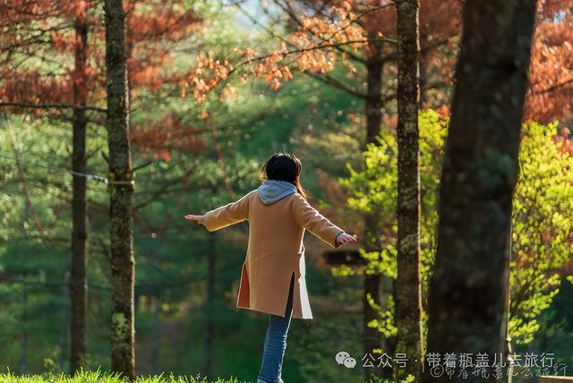 重庆最大乡镇易主，新霸主面积超过主城两区之和，4A景区美如仙境