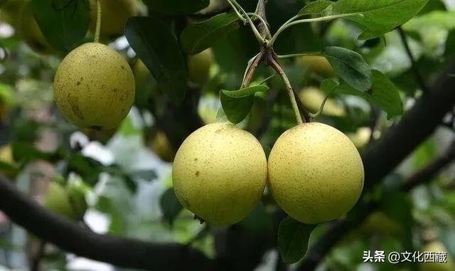 西藏“东大门”！被90%游客错过的宝藏城市，藏着世界级奇观！