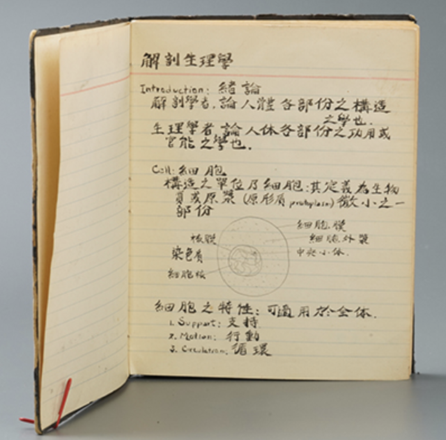 81年前有24名外国人死守南京城