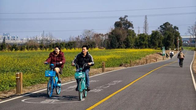 赏花何必等春！这个冬天，成都花儿都开men了→