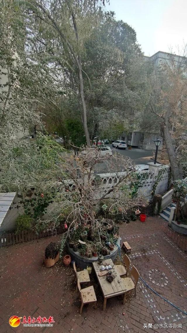 红石榴餐厅成最新网红地标，游客络绎不绝