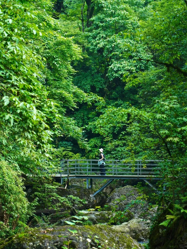 遛娃宝藏地 | 亲子游可以去哪？荥经帮你安排！