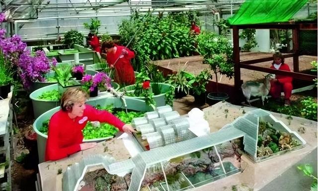 33年前，美国曾做过一个实验，将4男4女关一起两年，结果怎样？