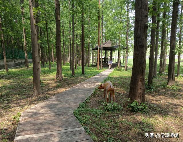 南京江北第一景——金牛湖